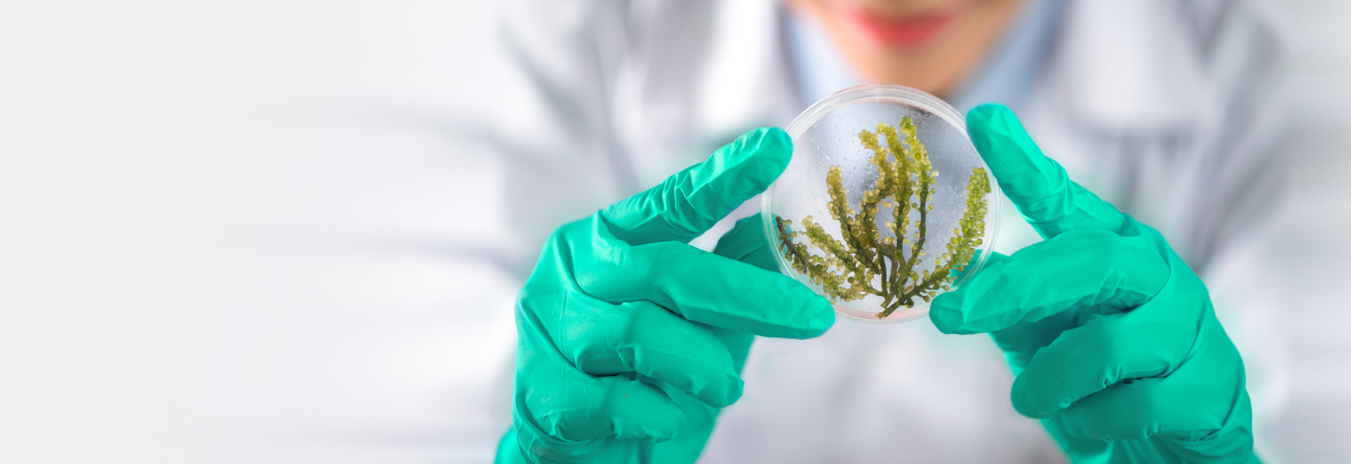 关于40001百老汇电子