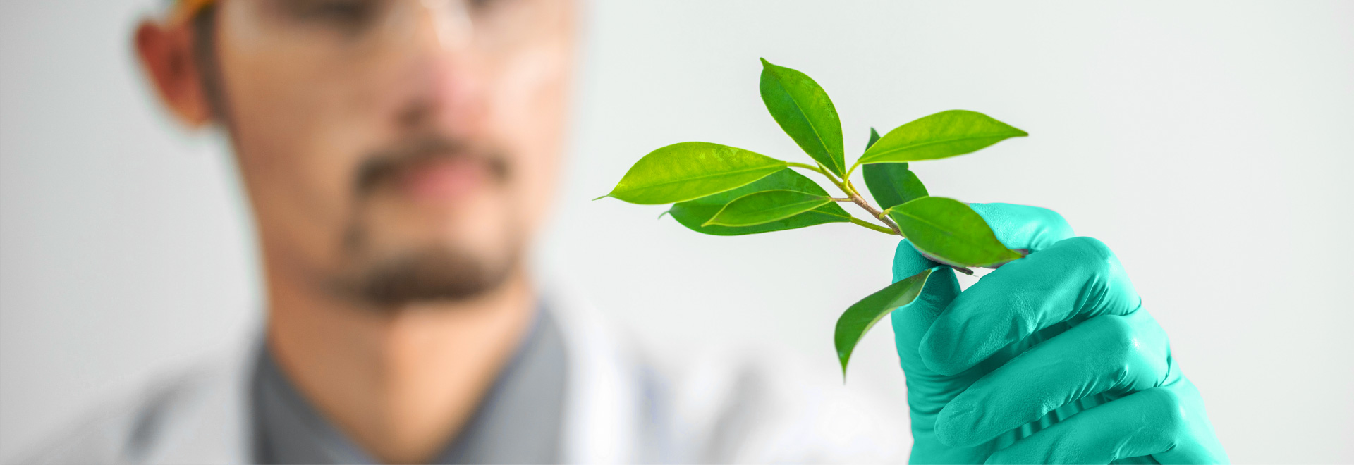 联系40001百老汇电子